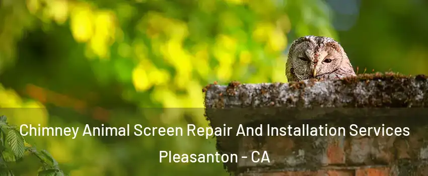  Chimney Animal Screen Repair And Installation Services Pleasanton - CA