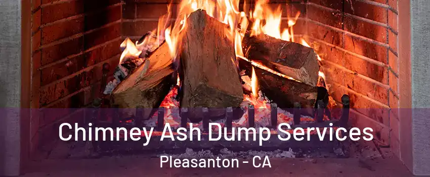  Chimney Ash Dump Services Pleasanton - CA