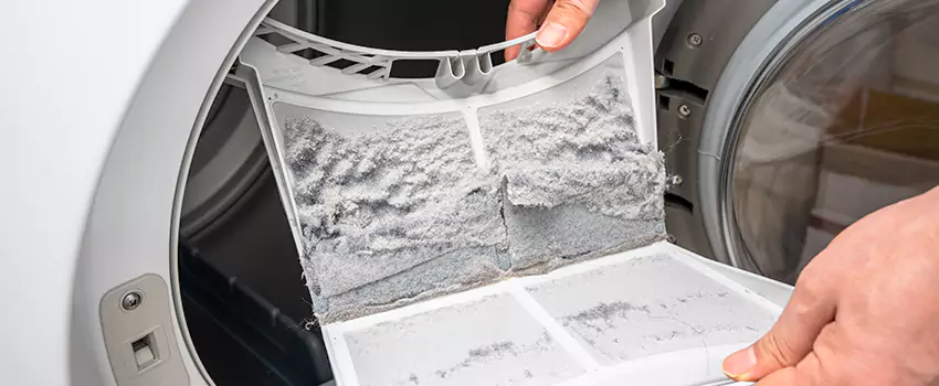 Best Dryer Lint Removal Company in Pleasanton, California