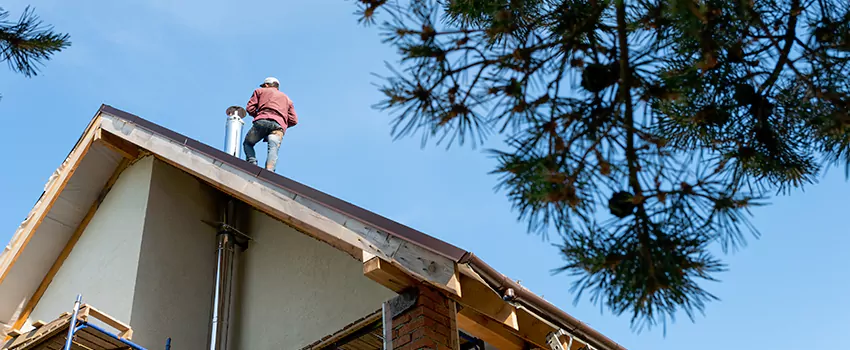Birds Removal Contractors from Chimney in Pleasanton, CA