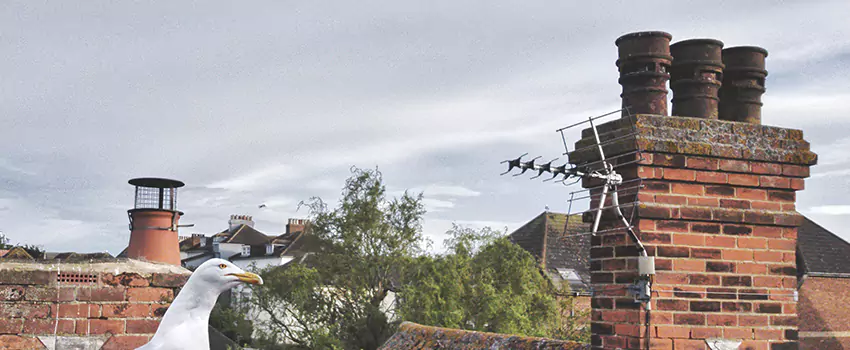 Chimney Cleaning And Restoration in Pleasanton, California
