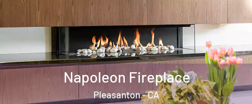  Napoleon Fireplace Pleasanton - CA