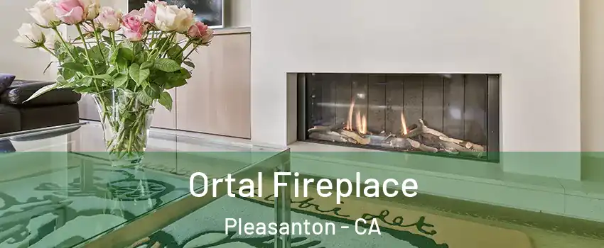  Ortal Fireplace Pleasanton - CA